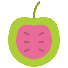 nutraflowdhub.info favicon